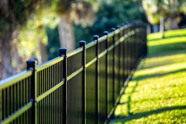 Metal fencing in garden
